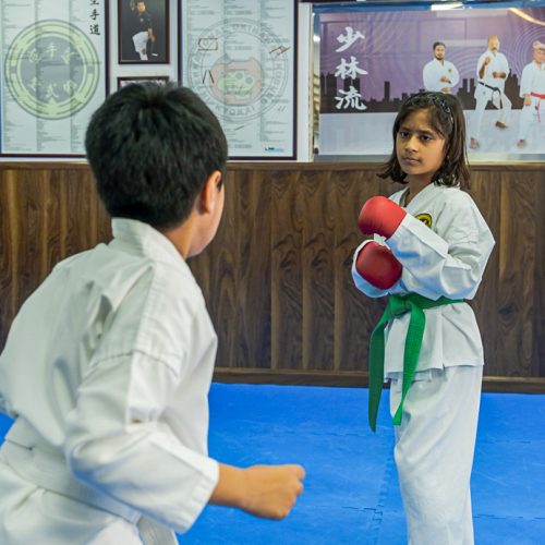 Kids Karate Classes in Dubai and Sharjah