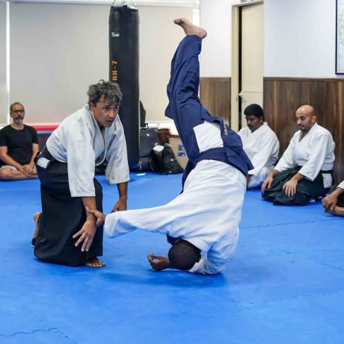 Cover - Aikido
