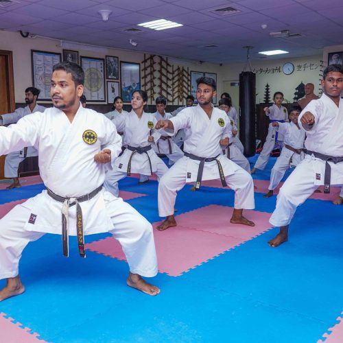 Cover - Karate